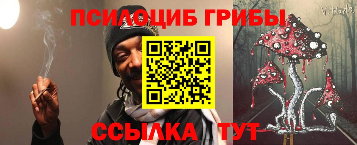Курчалой  продажа наркотиков  Вход с VPN  Галлюциногенные грибы Psilocybe 